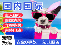 拉萨贡嘎航空邮寄国际宠物托运 【国